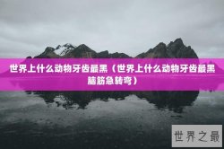 世界上什么动物牙齿最黑（世界上什么动物牙齿最黑脑筋急转弯）