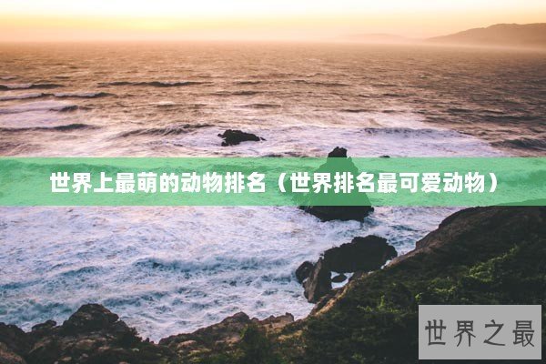 世界上最萌的动物排名（世界排名最可爱动物）