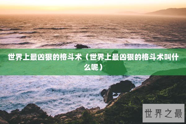 世界上最凶狠的格斗术（世界上最凶狠的格斗术叫什么呢）