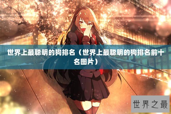 世界上最聪明的狗排名（世界上最聪明的狗排名前十名图片）