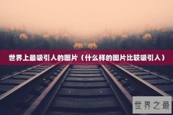 世界上最吸引人的图片（什么样的图片比较吸引人）