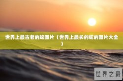 世界上最古老的蛇图片（世界上最长的蛇的图片大全）