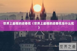 世界上最粗的迎春花（世界上最粗的迎春花是什么花）