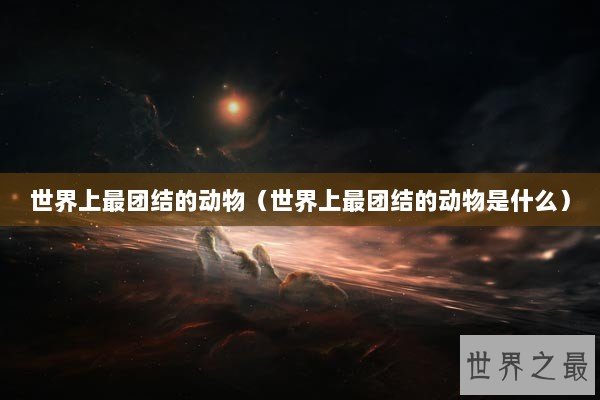 世界上最团结的动物（世界上最团结的动物是什么）