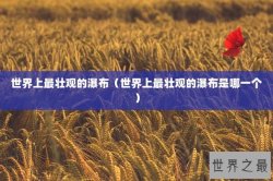 世界上最壮观的瀑布（世界上最壮观的瀑布是哪一个）