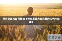 世界上最大最完整的（世界上最大最完整的古代木结构）