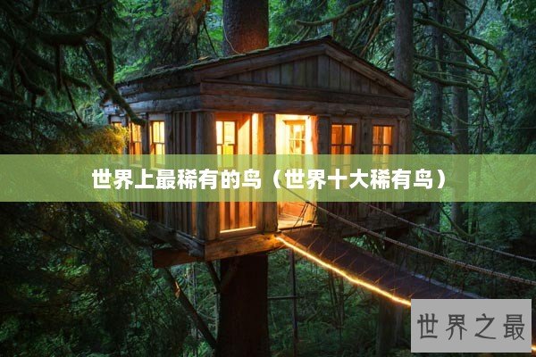 世界上最稀有的鸟（世界十大稀有鸟）