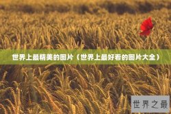 世界上最精美的图片（世界上最好看的图片大全）
