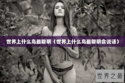 世界上什么鸟最聪明（世界上什么鸟最聪明会说话）