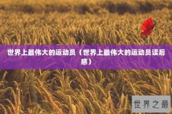 世界上最伟大的运动员（世界上最伟大的运动员读后感）