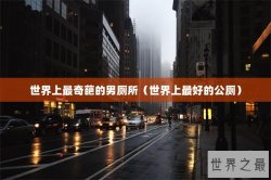 世界上最奇葩的男厕所（世界上最好的公厕）