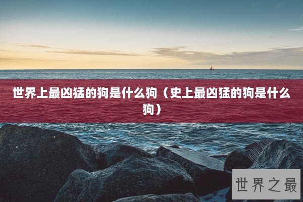 世界上最凶猛的狗是什么狗（史上最凶猛的狗是什么狗）
