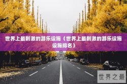 世界上最刺激的游乐设施（世界上最刺激的游乐设施设施排名）