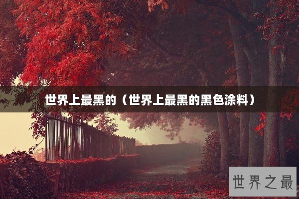 世界上最黑的（世界上最黑的黑色涂料）