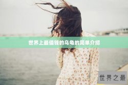 世界上最值钱的乌龟的简单介绍