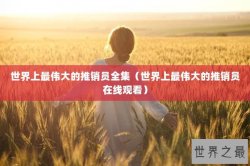 世界上最伟大的推销员全集（世界上最伟大的推销员在线观看）