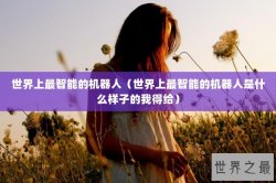 世界上最智能的机器人（世界上最智能的机器人是什么样子的我得给）