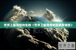 世界上最危险的生物（世界上最危险的生物有哪些）