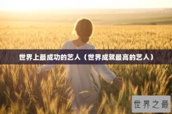 世界上最成功的艺人（世界成就最高的艺人）