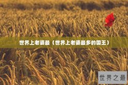 世界上老婆最（世界上老婆最多的国王）