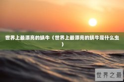 世界上最漂亮的蜗牛（世界上最漂亮的蜗牛是什么虫）