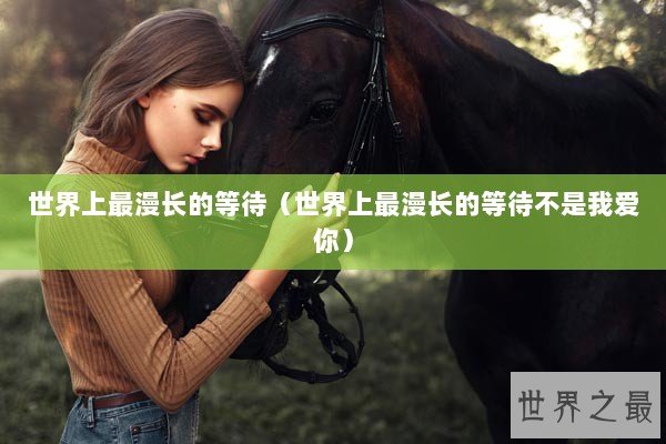 世界上最漫长的等待（世界上最漫长的等待不是我爱你）