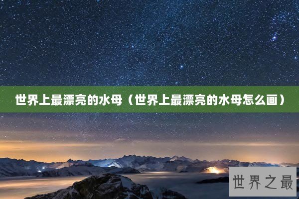 世界上最漂亮的水母（世界上最漂亮的水母怎么画）