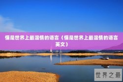 懂是世界上最温情的语言（懂是世界上最温情的语言英文）