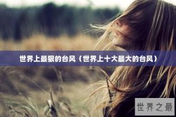 世界上最狠的台风（世界上十大最大的台风）