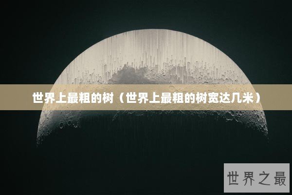 世界上最粗的树（世界上最粗的树宽达几米）