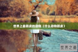 世界上最赖皮的动物（什么动物赖皮）