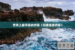 世界上最华丽的纱丽（印度高级纱丽）