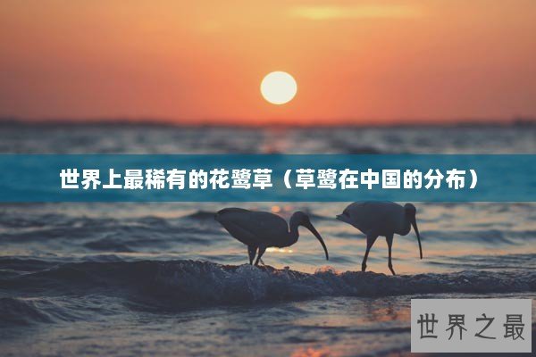 世界上最稀有的花鹭草（草鹭在中国的分布）