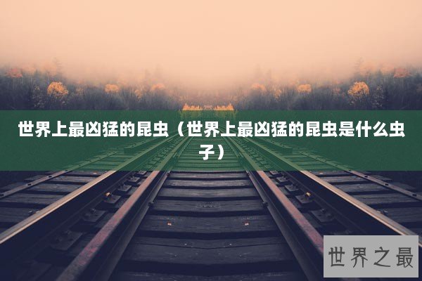 世界上最凶猛的昆虫（世界上最凶猛的昆虫是什么虫子）