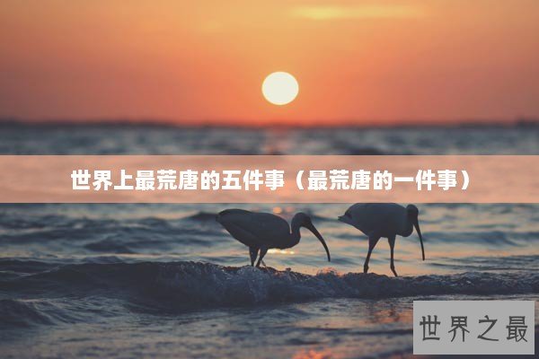 世界上最荒唐的五件事（最荒唐的一件事）