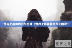 世界上最帅的汽车图片（世界上最奇葩的汽车图片）