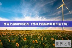 世界上最猛的越野车（世界上最酷的越野车前十辆）