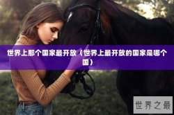 世界上那个国家最开放（世界上最开放的国家是哪个国）
