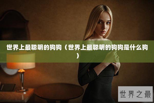 世界上最聪明的狗狗（世界上最聪明的狗狗是什么狗）