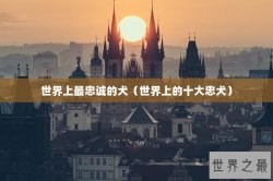 世界上最忠诚的犬（世界上的十大忠犬）