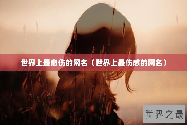 世界上最悲伤的网名（世界上最伤感的网名）
