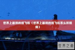 世界上最帅的纸飞机（世界上最帅的纸飞机怎么折视频）