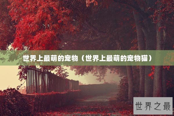 世界上最萌的宠物（世界上最萌的宠物猫）