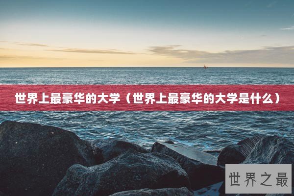 世界上最豪华的大学（世界上最豪华的大学是什么）