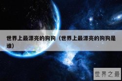 世界上最漂亮的狗狗（世界上最漂亮的狗狗是谁）