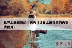 世界上最性感的内衣秀（世界上最性感的内衣秀图片）