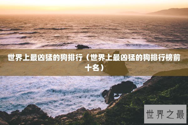 世界上最凶猛的狗排行（世界上最凶猛的狗排行榜前十名）
