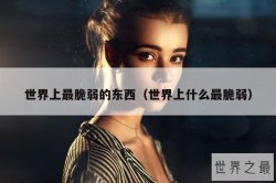 世界上最脆弱的东西（世界上什么最脆弱）