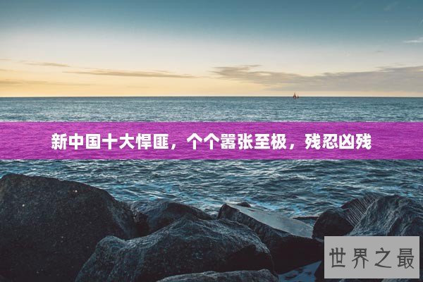 新中国十大悍匪，个个嚣张至极，残忍凶残