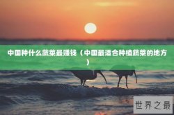 中国种什么蔬菜最赚钱（中国最适合种植蔬菜的地方）